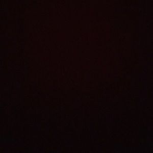 Meet your Posher, Jazmin