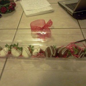 Meet your Posher, Ginger