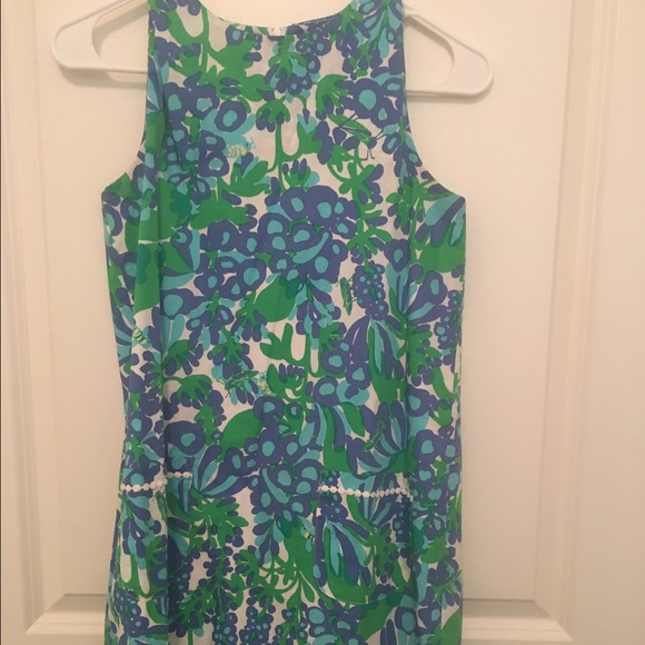 Lilly kids size 14 shift