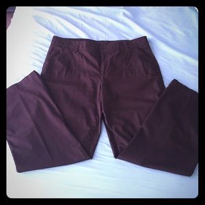 Sonoma Brown Pants