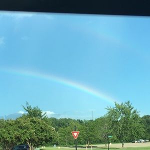 Meet your Posher, Ginger