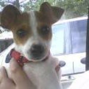 Meet your Posher, Tracy