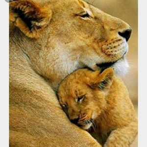 Meet your Posher, Isis