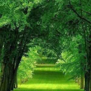 Meet your Posher, Mariam