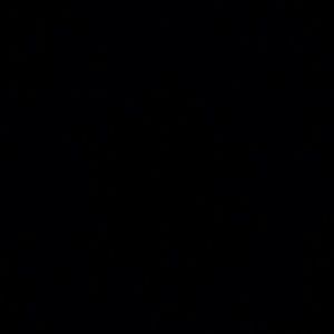 Meet your Posher, Ariel