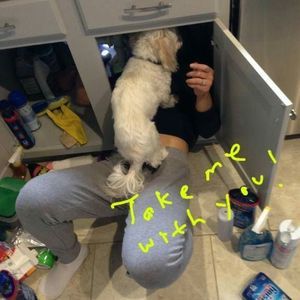 Meet your Posher, Simsim