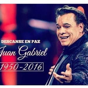 Meet your Posher, Lili