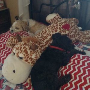 Meet your Posher, Kathy