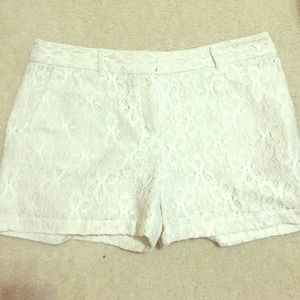 Adorable cream lace shorts