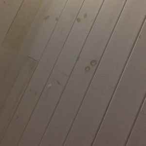 Meet your Posher, Libby