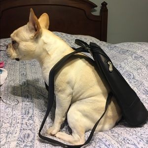 Leather back pack NWT