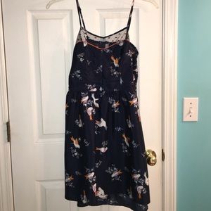 Xhilaration Large Navy Bird Dress