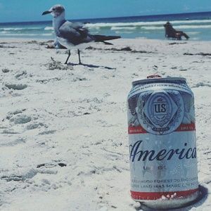 Meet your Posher, Shawn