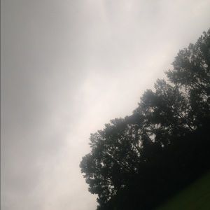 Meet your Posher, Perla