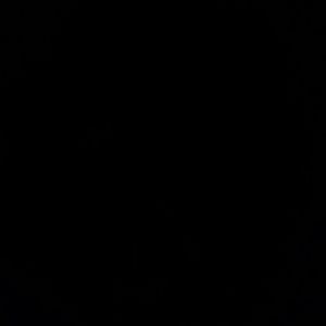 Meet your Posher, Regina