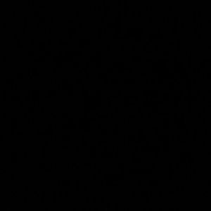 Meet your Posher, Leticia