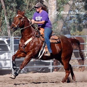 Meet your Posher, Nikki