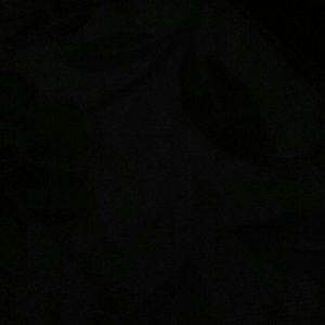 Meet your Posher, Catrina