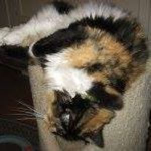 Meet your Posher, Marnie