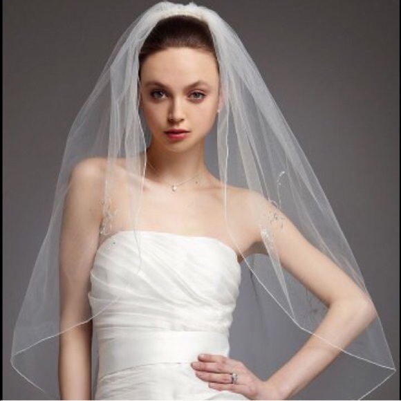 Gorgeous beaded veil