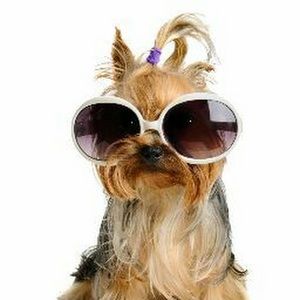 Meet your Posher, Eden