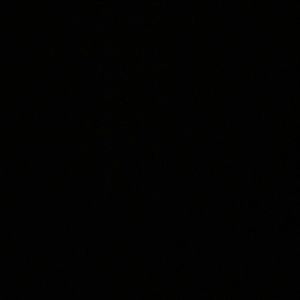 Meet your Posher, Fernanda