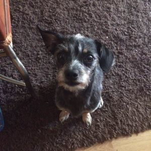 Meet your Posher, Keily