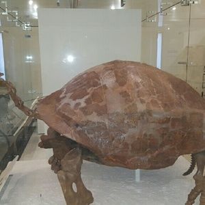 Meet your Posher, Marcos