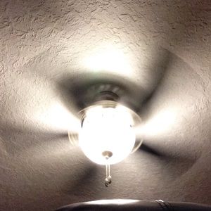 Meet your Posher, Sandi