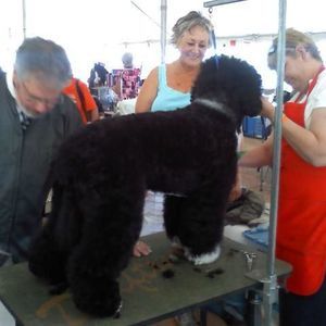 Meet your Posher, Marsha