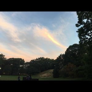 Meet your Posher, Daisy