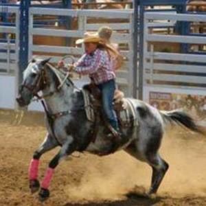 Meet your Posher, Cheyenne