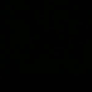 Meet your Posher, Evelyn