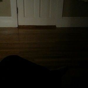 Meet your Posher, Bernadetta