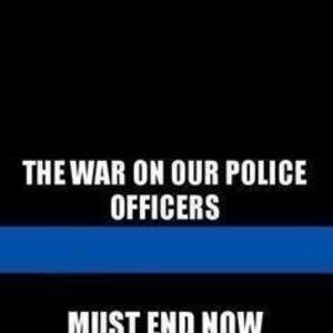 Meet your Posher, Phoebe