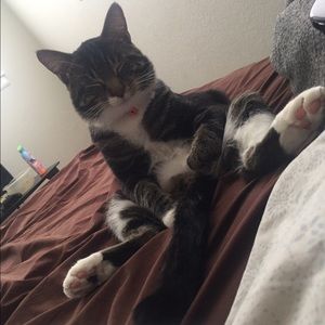 Meet your Posher, Gavin