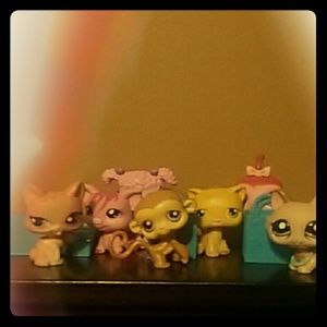 Lps Lot