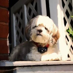 Meet your Posher, Mary ann