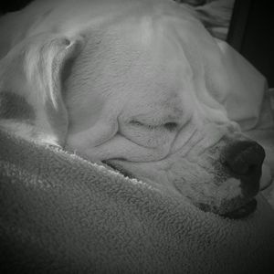 Meet your Posher, Diana