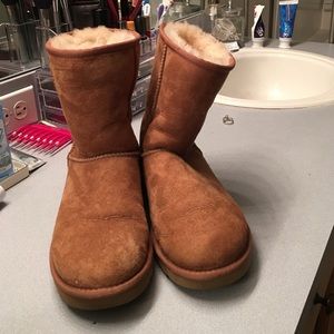 Chestnut Brown Uggs Size 8