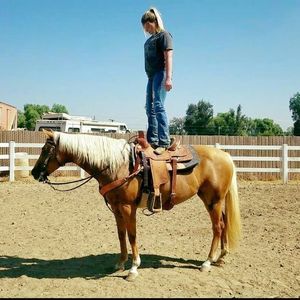 Meet your Posher, Chloe