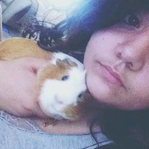 Meet your Posher, Iris