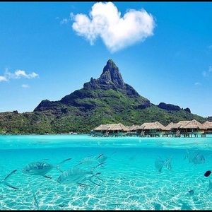 Meet your Posher, Kristin