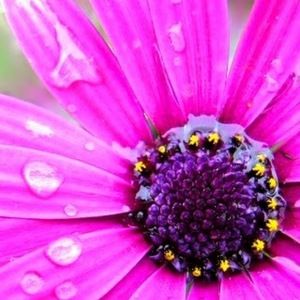 Meet your Posher, Katrina