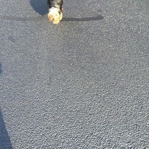 Meet your Posher, Zjanazja