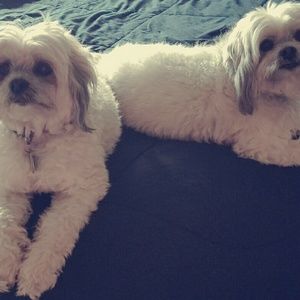 Meet your Posher, Pamela