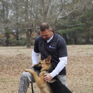 Meet your Posher, Benjamin