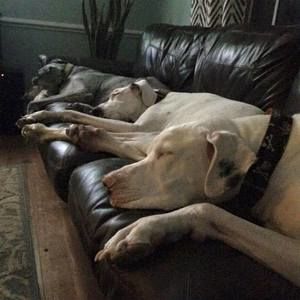 Meet your Posher, Starla