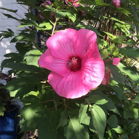 Meet your Posher, Erin - Picture 1 of 1