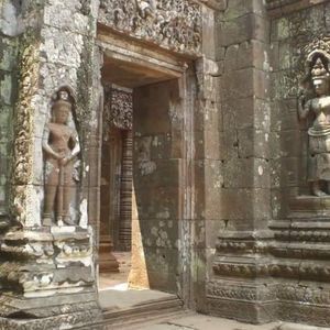 Meet your Posher, Rachel n